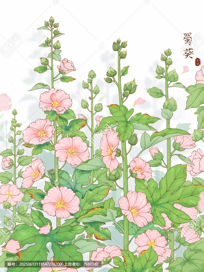 原創(chuàng)手繪水彩風(fēng)蜀葵插畫