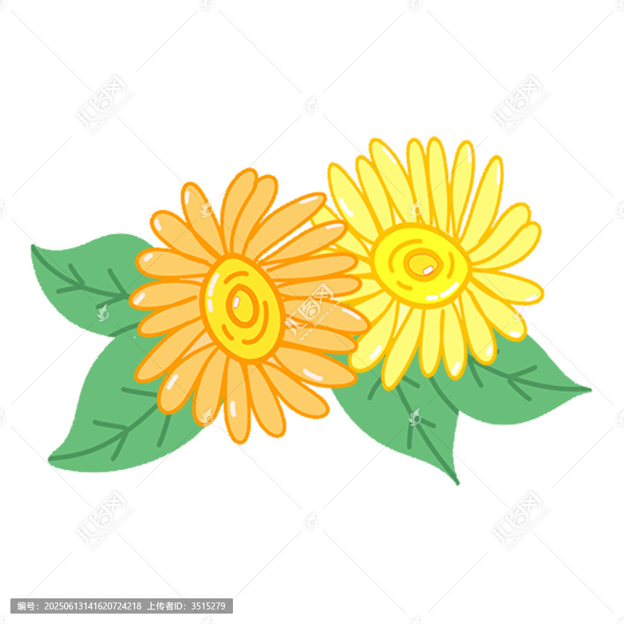 手繪雙朵鮮艷小花插畫