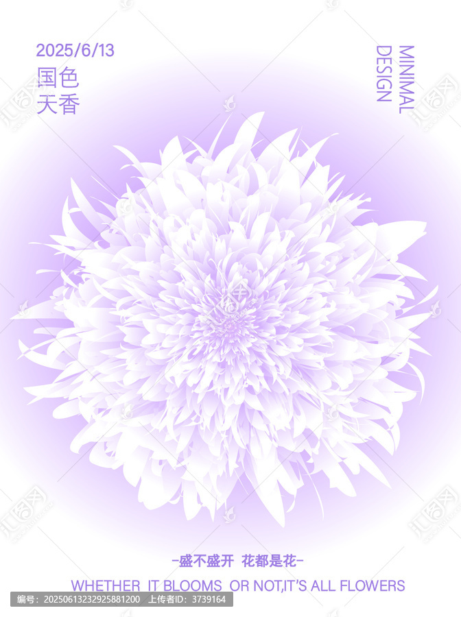 紫花