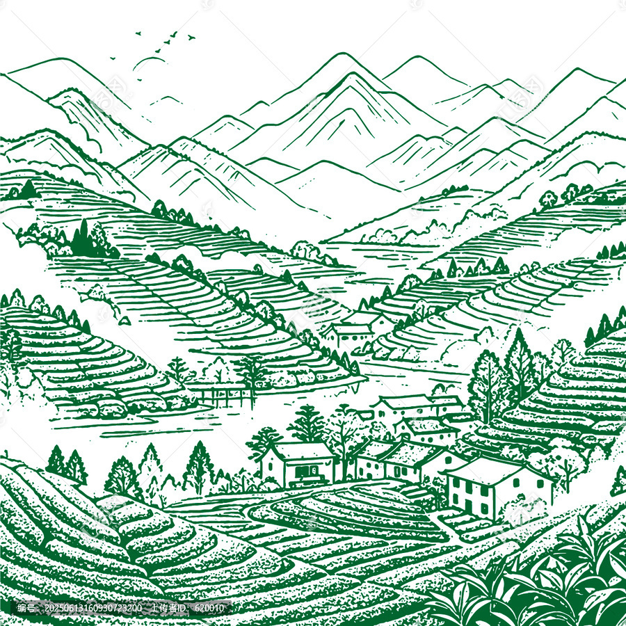 田園山村茶山手繪線稿矢量圖茶葉包裝素材