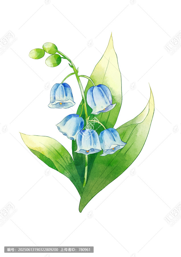 鈴蘭花