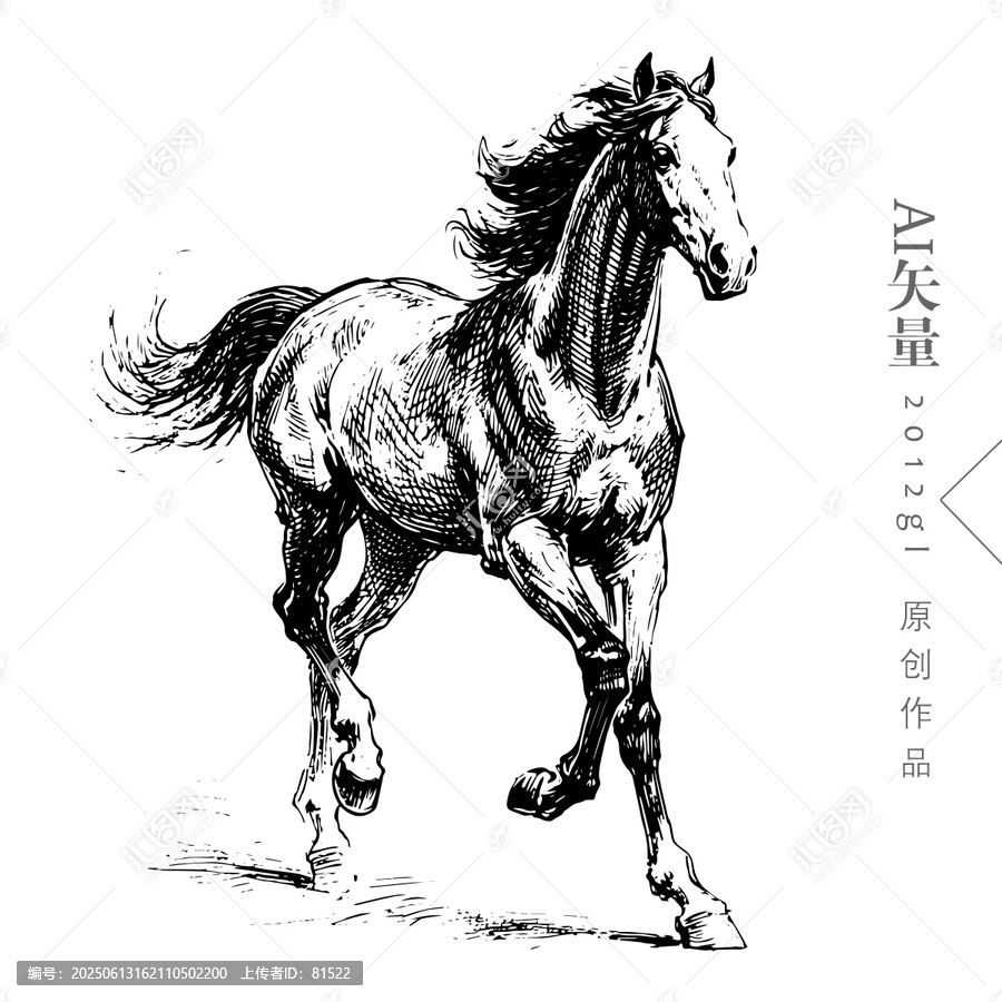馬鋼筆畫版畫馬