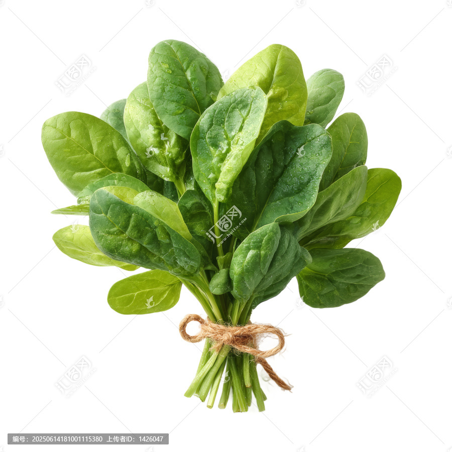 [免摳素材]新鮮菠菜束特寫