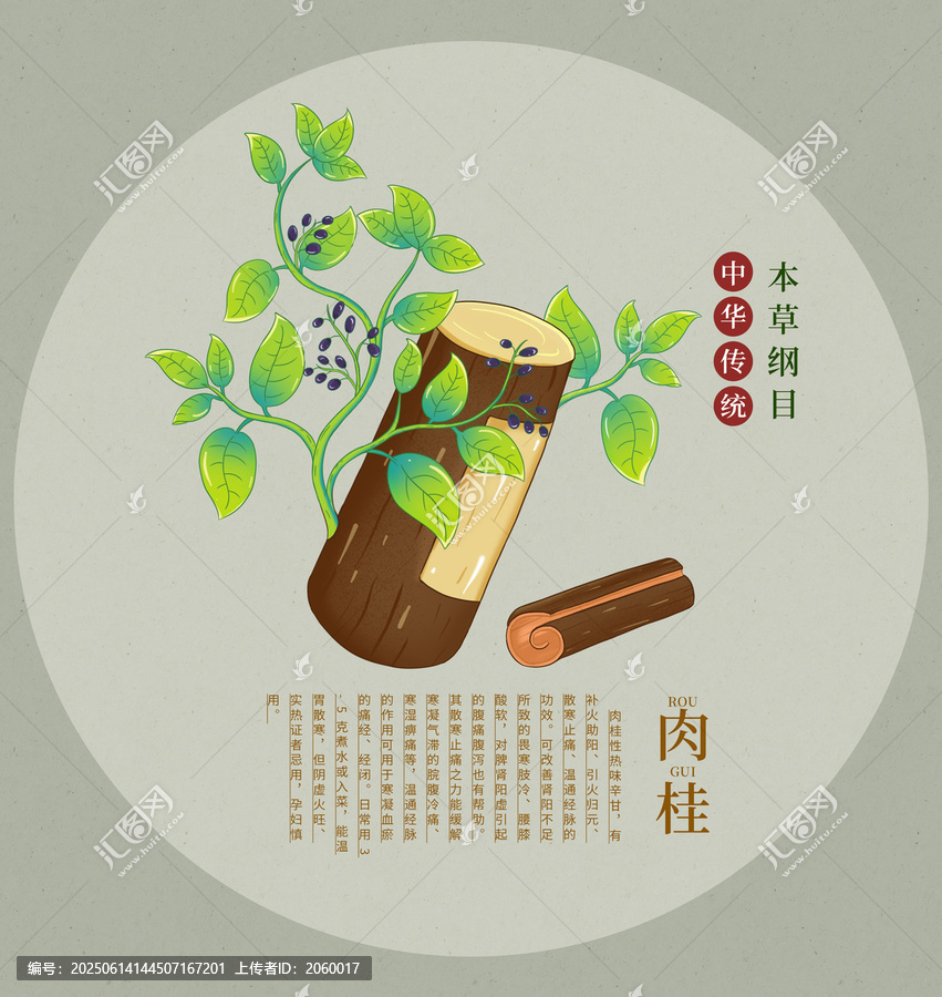 傳統(tǒng)中藥材肉桂插畫圖