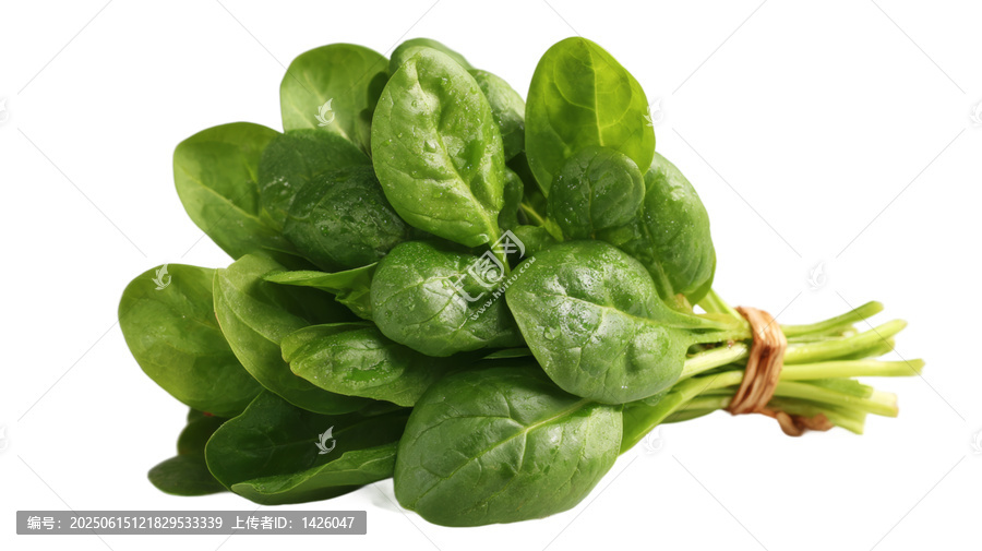 [免摳素材]新鮮菠菜束特寫圖片