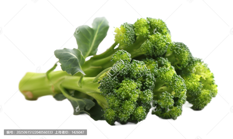 [免摳素材]新鮮西蘭花特寫圖片