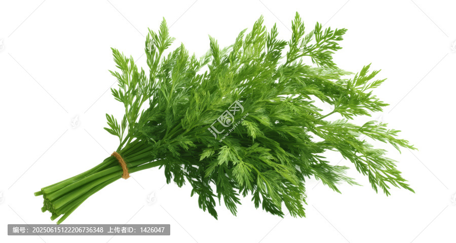 [免摳素材]新鮮芹菜束特寫