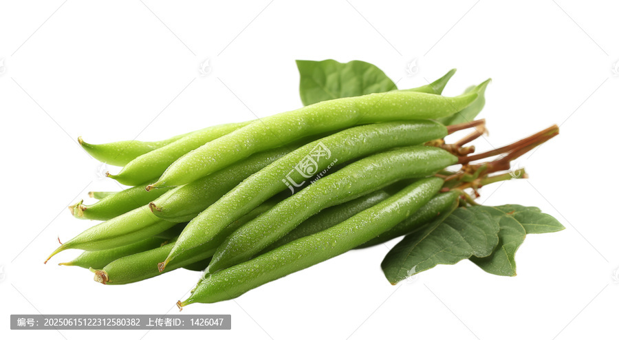 [免摳素材]新鮮綠豆芽特寫圖片