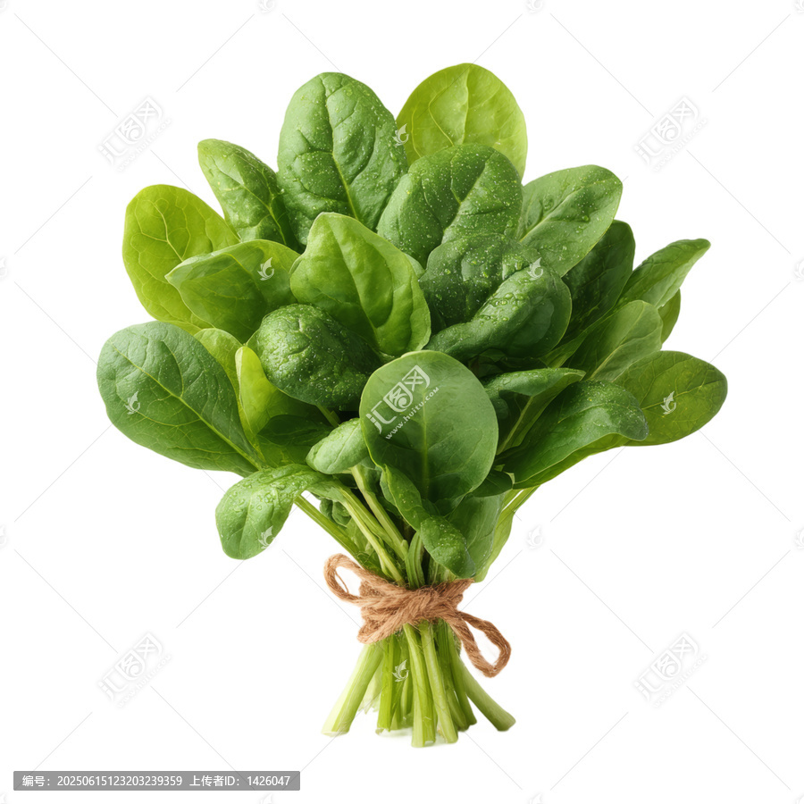 [免摳素材]新鮮菠菜束特寫(xiě)圖片
