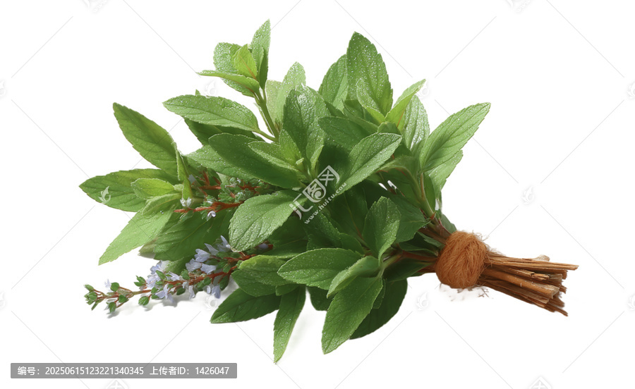 [免摳素材]新鮮香草植物束