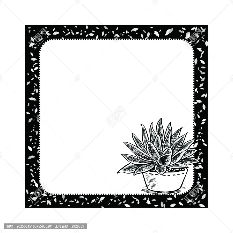 黑白風(fēng)多肉植物便簽設(shè)計邊框插畫圖案可印刷