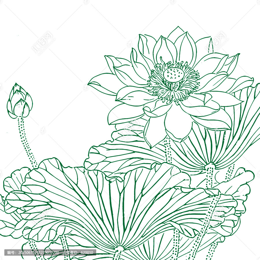 蓮花花朵手繪插畫素描底紋包裝設(shè)計矢量圖