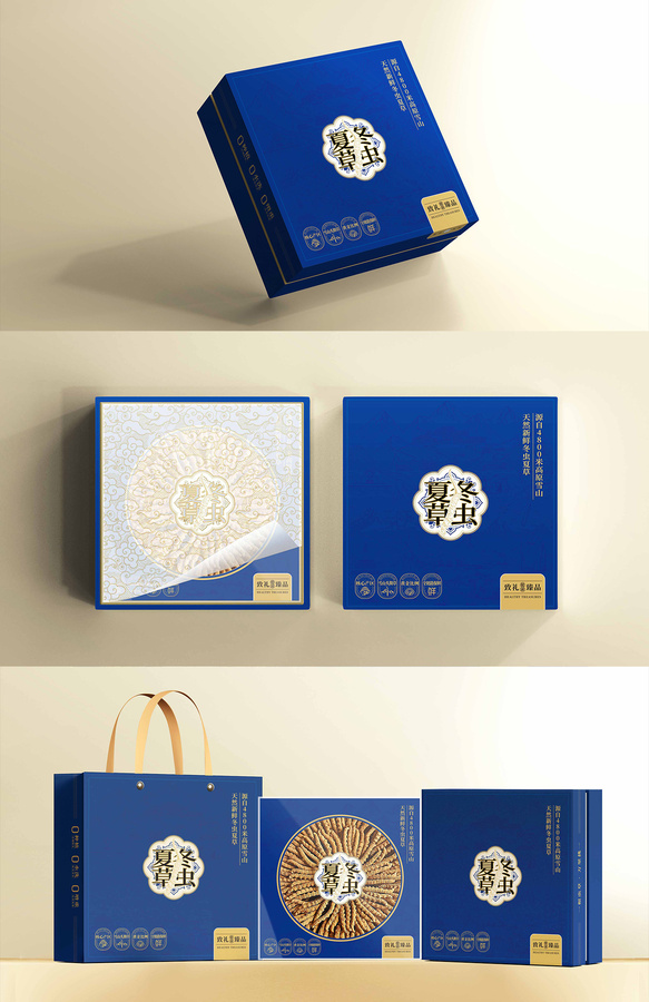 冬蟲夏草藍(lán)色節(jié)日禮盒滋補(bǔ)品食品包裝設(shè)計(jì)