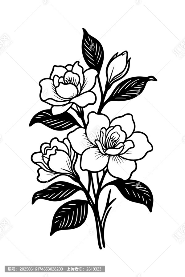 黑白手繪花卉圖案素材