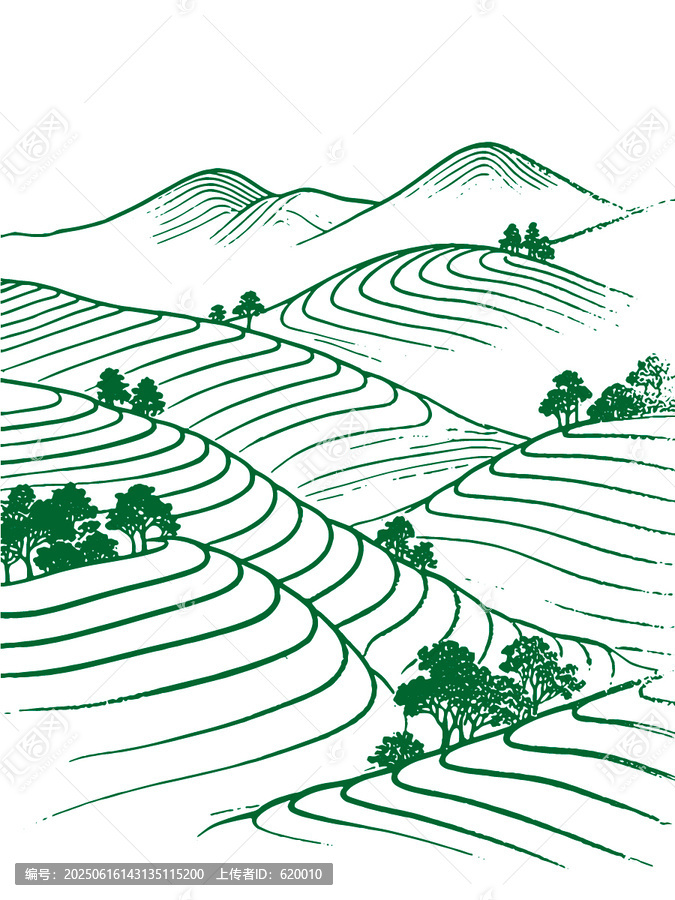 茶山風光綠色梯田山丘風景簡繪線稿矢量圖