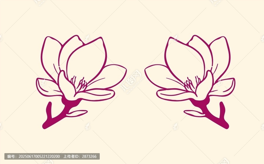 玉蘭花矢量圖案