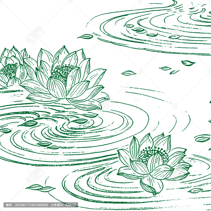 蓮花手繪插畫線稿底紋包裝設計矢量圖禪文化