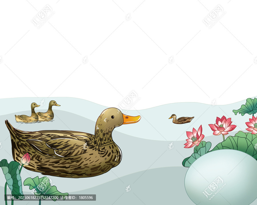 麻鴨咸鴨蛋插畫