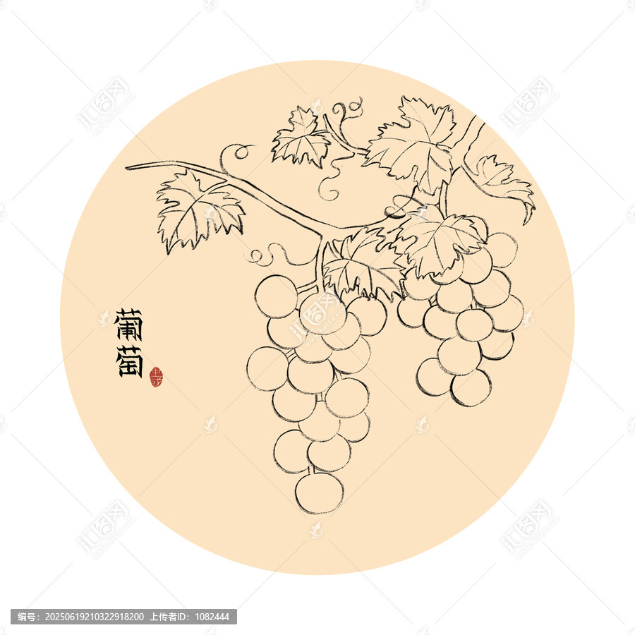 葡萄線稿