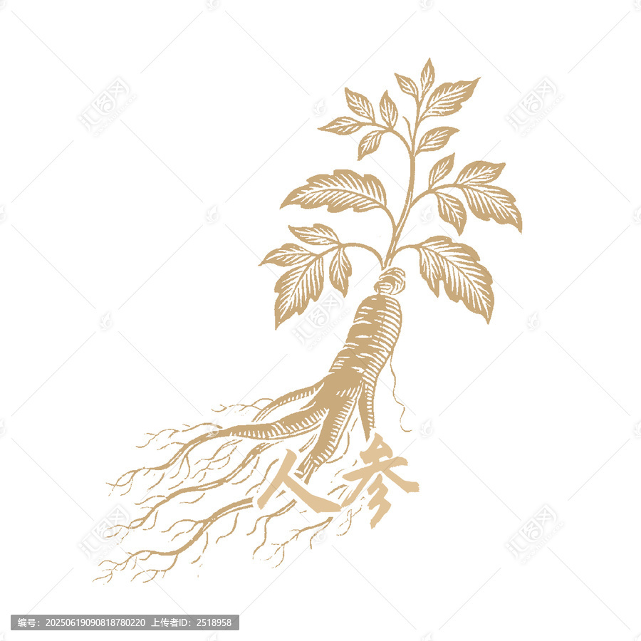 金色人參植物矢量圖案