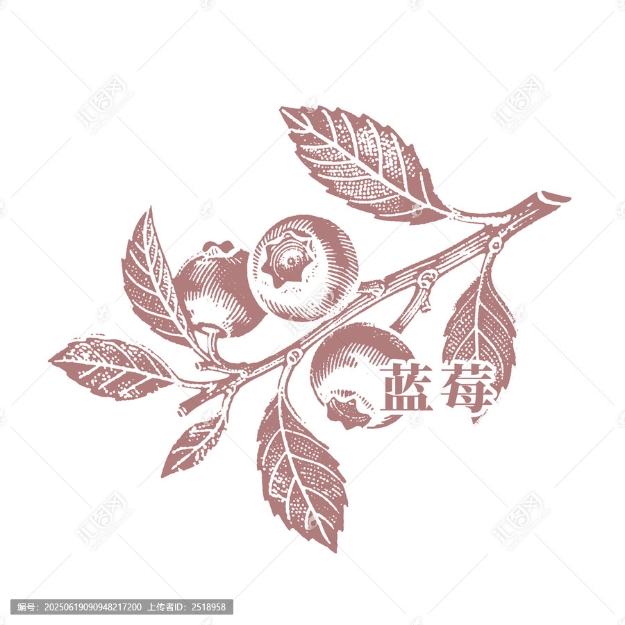 復(fù)古風(fēng)藍(lán)莓枝葉圖案