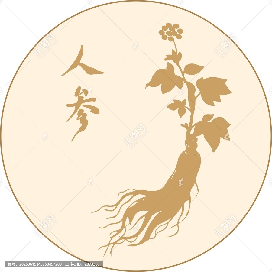 人參植物圖案設(shè)計(jì)素材