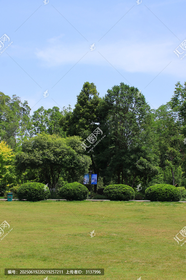 公園草坪綠化