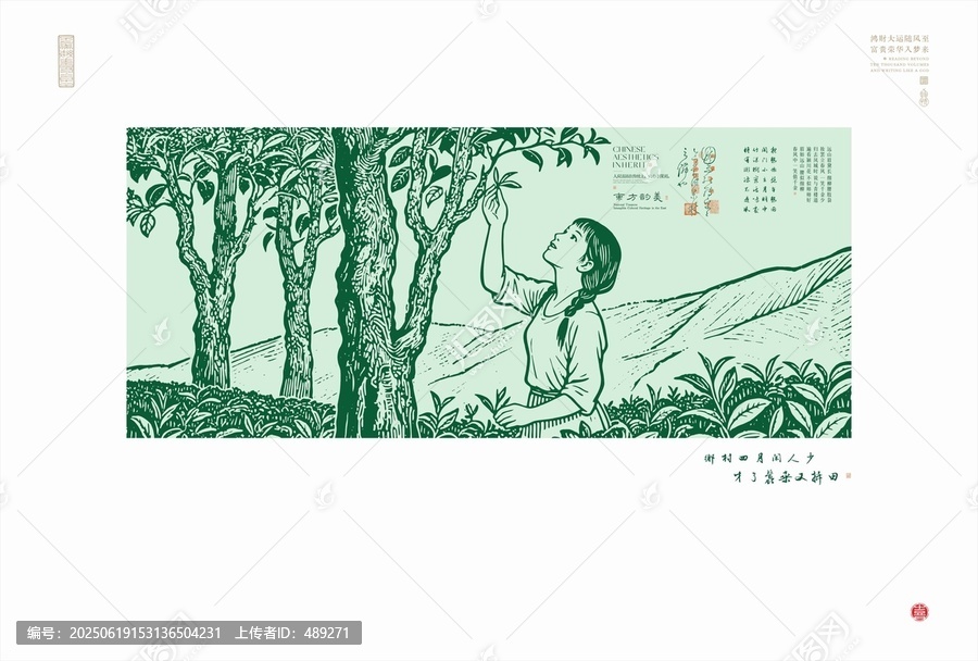 少女茶園采摘詩意畫面