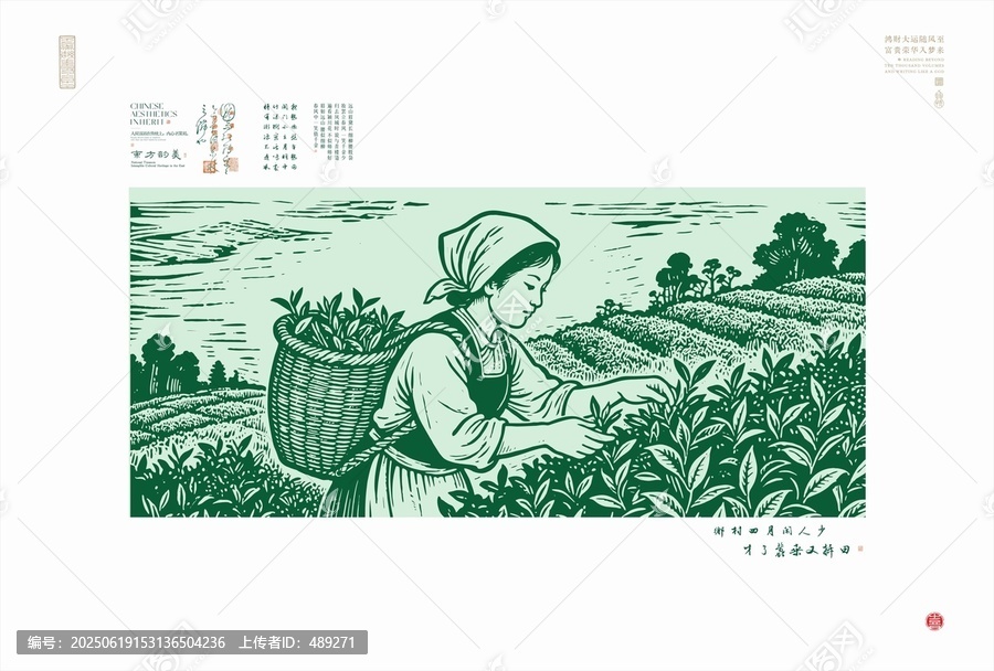 采茶女在茶園辛勤勞作