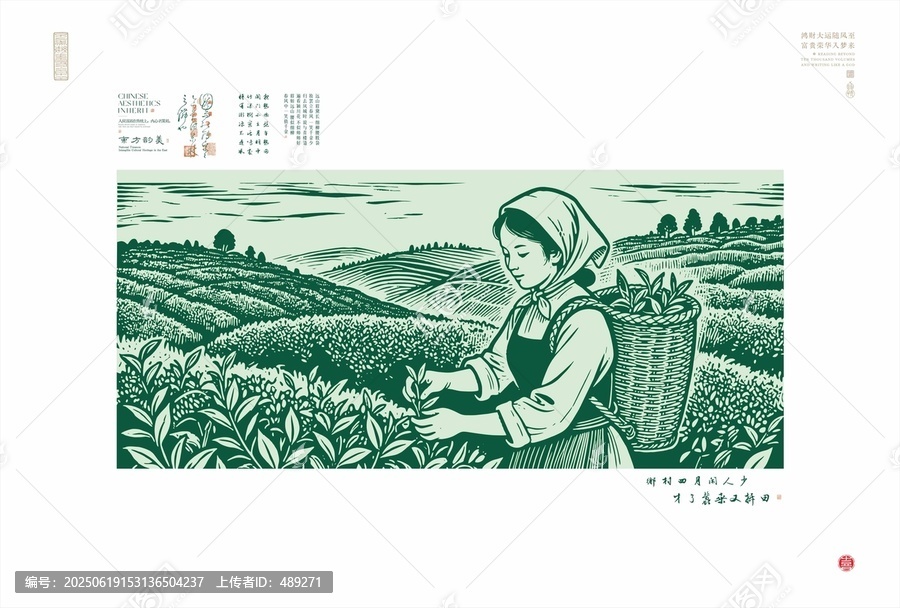 茶園采茶女的勞作瞬間