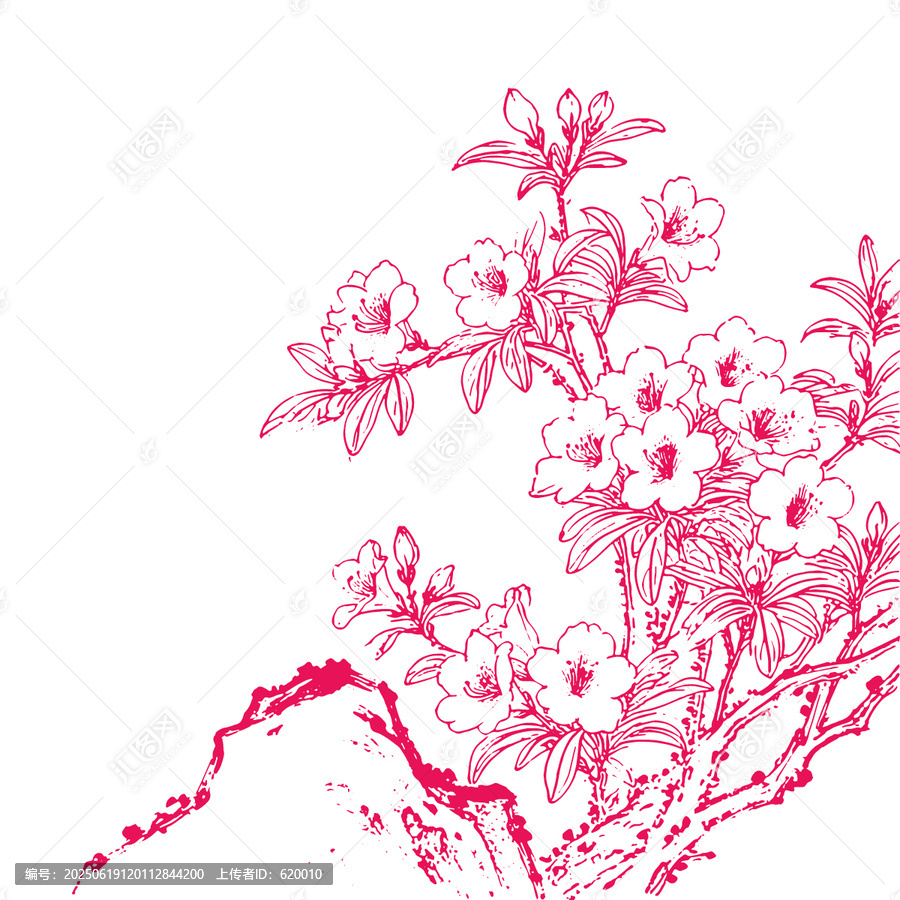 杜鵑花手繪線條插畫花卉花朵矢量圖紋理