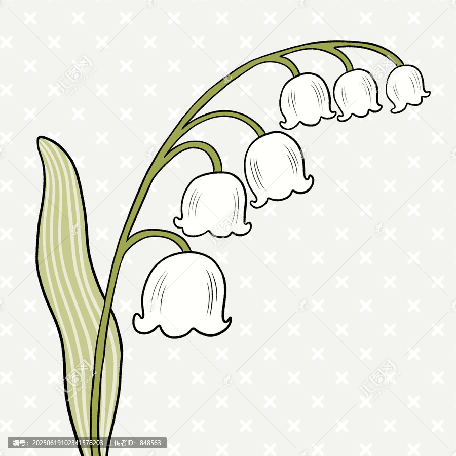 手繪清新鈴蘭花插畫(huà)
