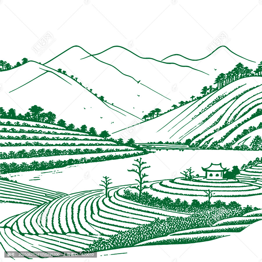 鄉(xiāng)村梯田山水茶鄉(xiāng)茶山茶園風(fēng)光線描矢量圖