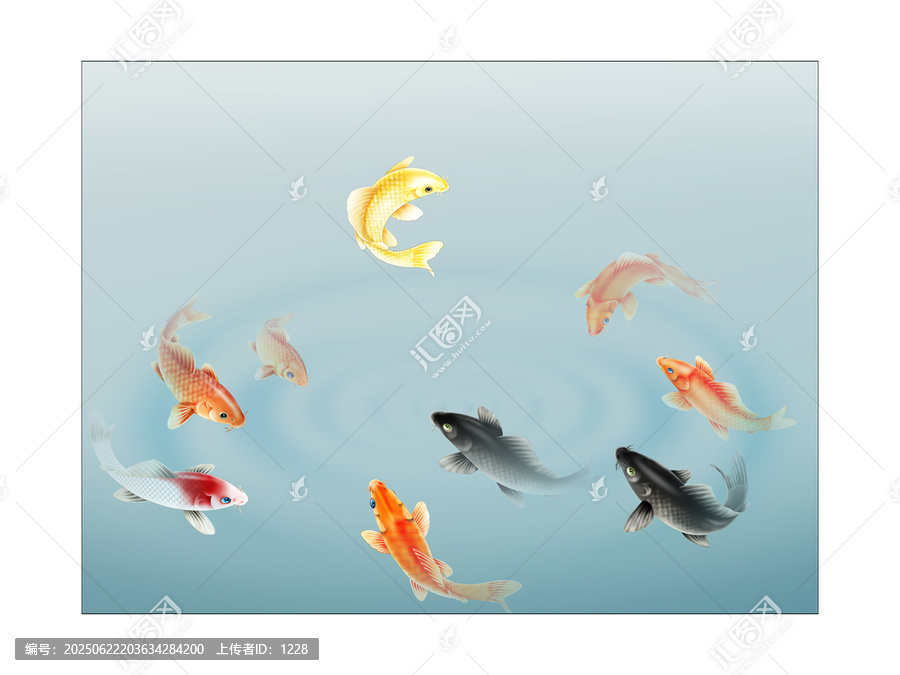 魚