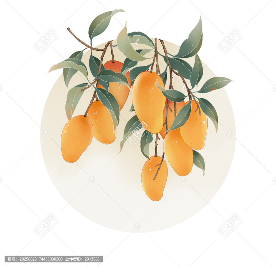 芒果插畫