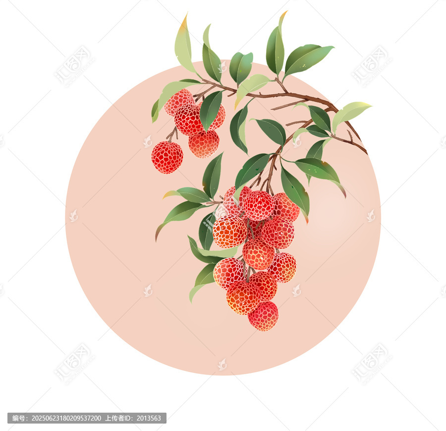 國風荔枝插畫