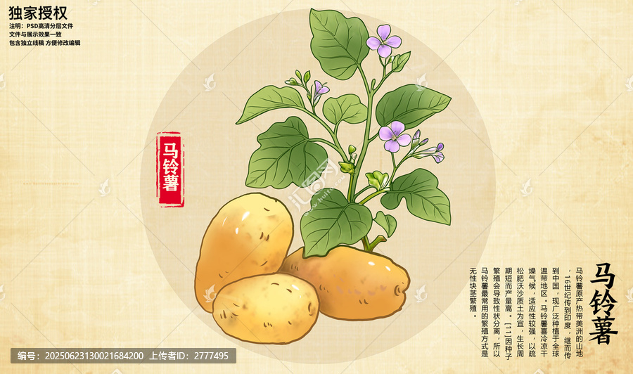 馬鈴薯插畫