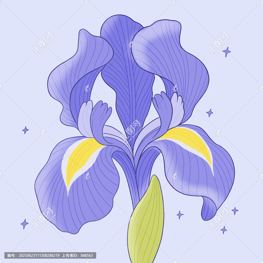 夢(mèng)幻紫色鳶尾花插畫