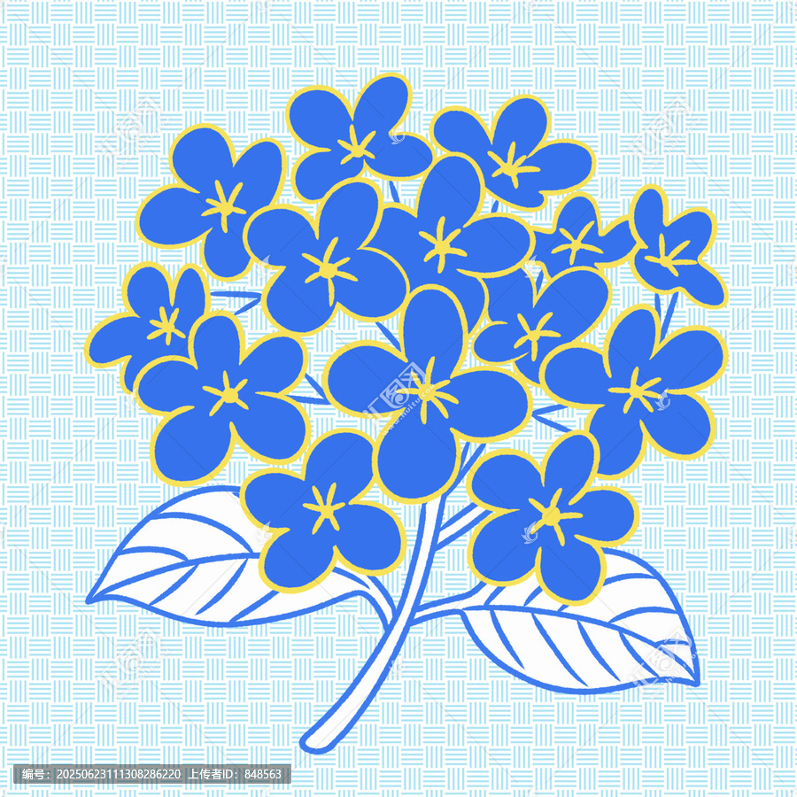 藍色繡球花插畫圖案
