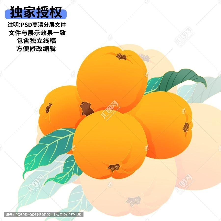 手繪枇杷與綠葉插畫(huà)素材