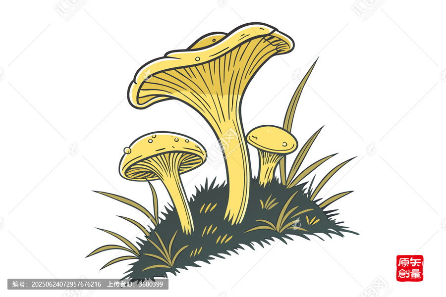 草叢中的黃色蘑菇插畫(huà)