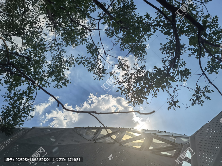 透過枝葉看建筑與藍天