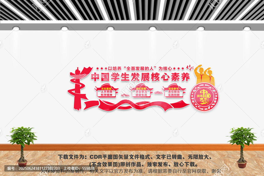 中國學(xué)生發(fā)展核心素養(yǎng)