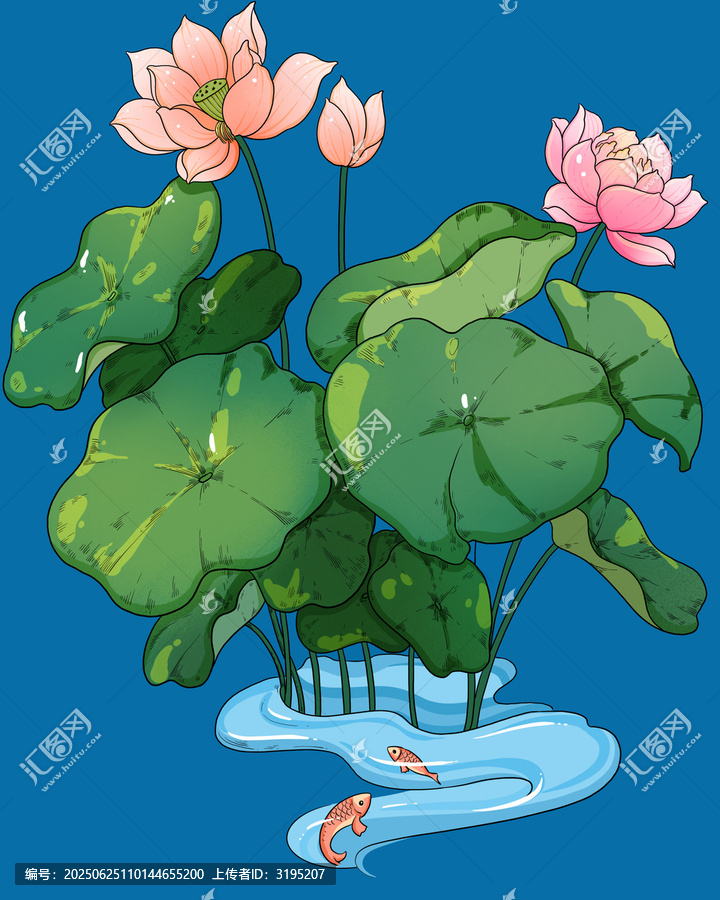 荷花荷葉手繪插畫