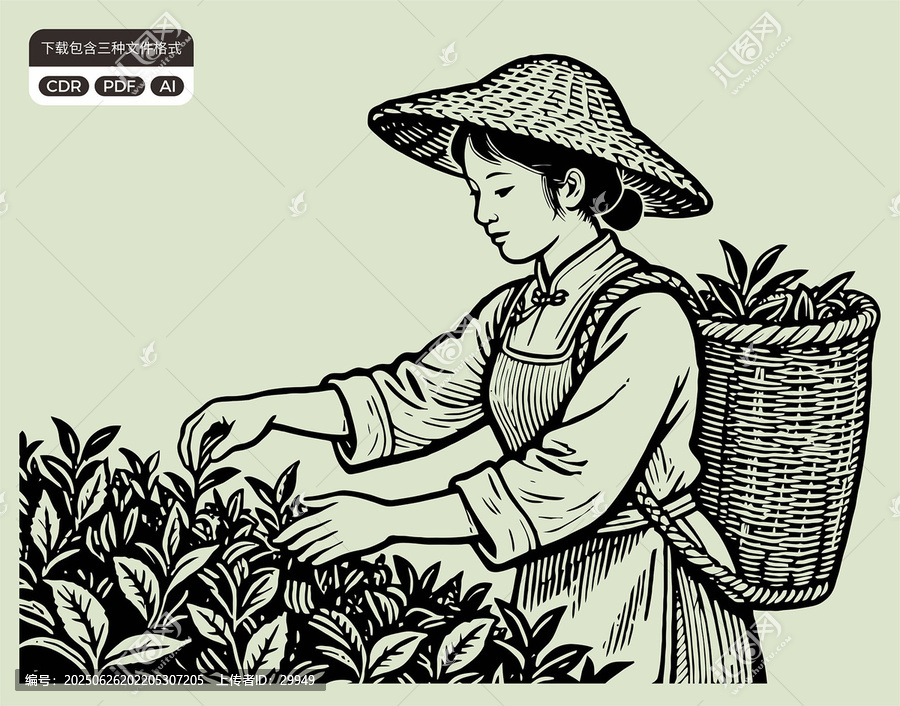 采茶姑娘傳統(tǒng)茶文化元素