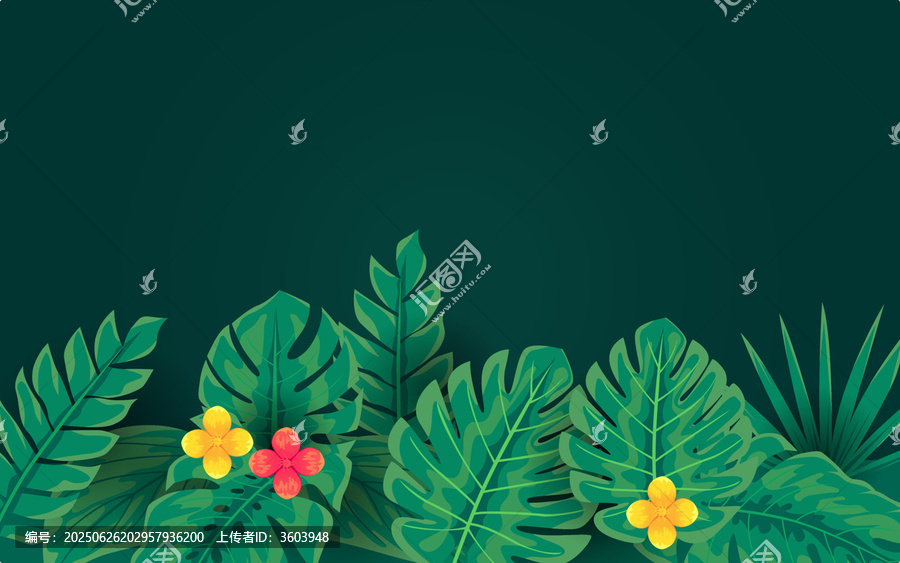 熱帶植物花卉背景圖