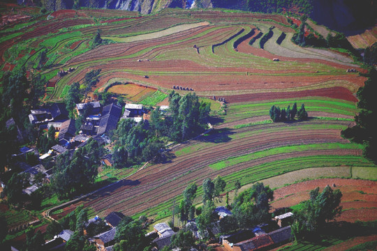 小山村