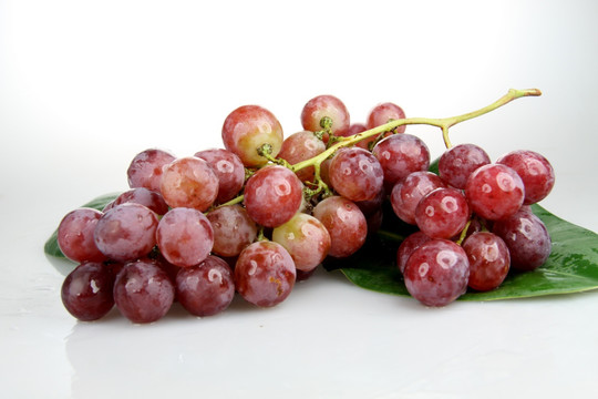 新疆伊犁红提鲜食葡萄