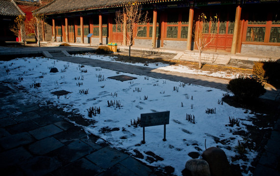 沈阳故宫 雪
