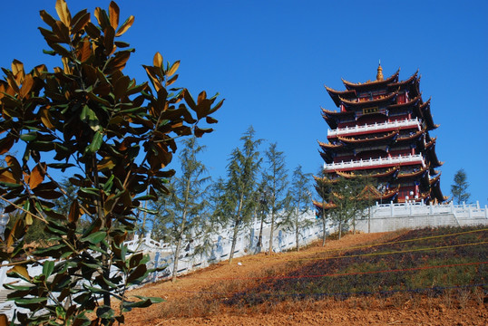汉阴天步梯